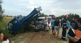 Galerie foto - poza 3