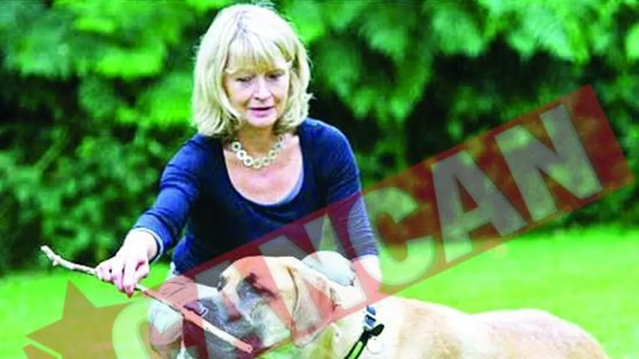 Un catel a inghitit un bat de 60 de centimetri