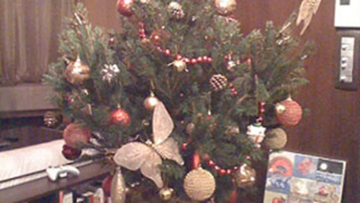 Uite cum arata bradul de Craciun al Andreei Patrascu si ce iti doreste iubita lui Cabral de Sarbatori