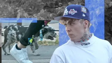 Lino Golden și-a ”strunit” patrupedul prin parc, dar... I-a pus frână cățelușul!