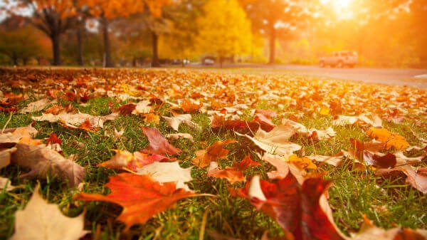 METEO 6 OCTOMBRIE: Vreme anormal de caldă pentru această perioadă! Unde vor fi 28 de grade