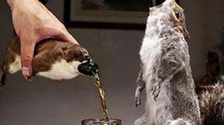 Ati bea bere din animale impaiate?
