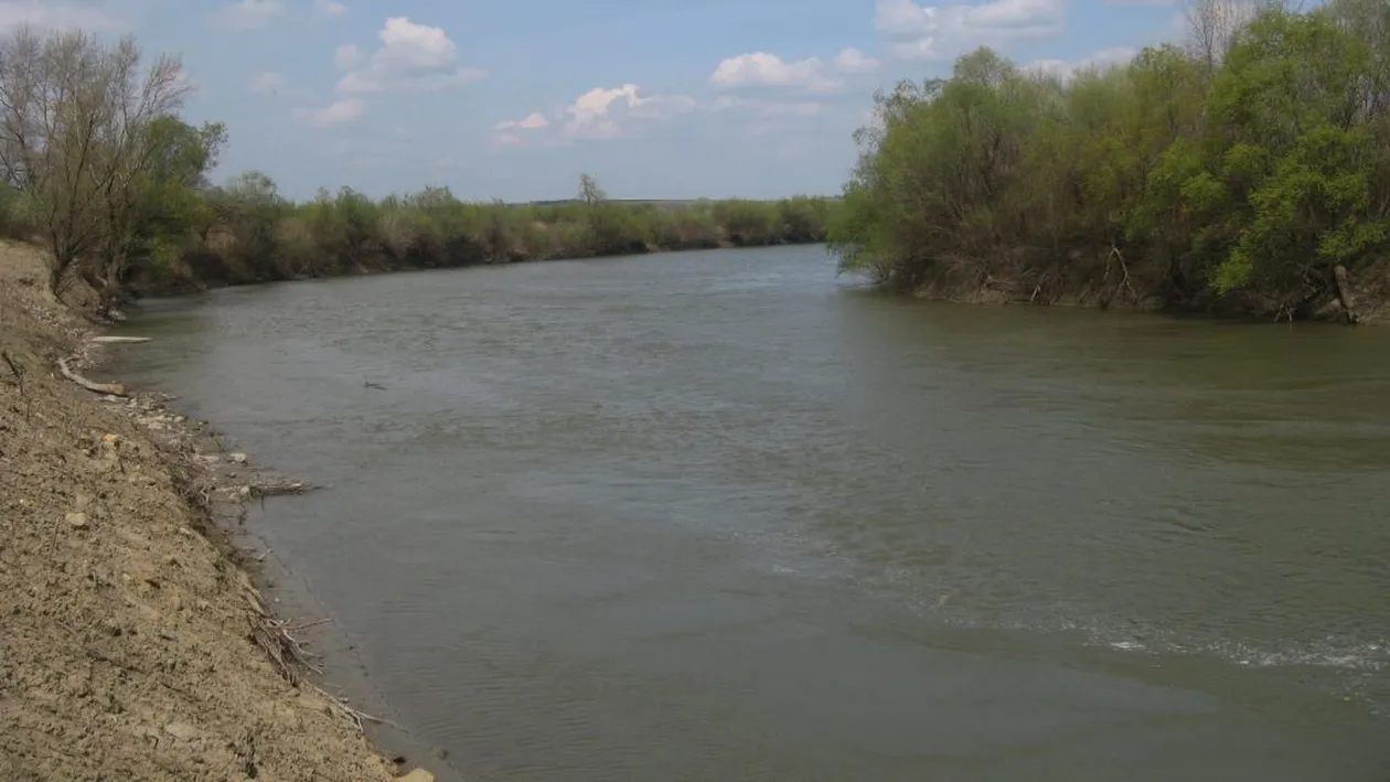 Tragedie în Vaslui! Un cioban de 36 de ani, găsit înecat în Prut cu tot cu cal și căruță