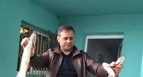 Galerie foto - poza 2