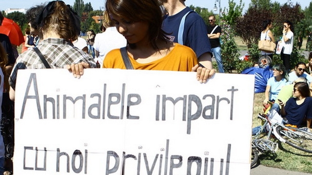 Amintiri din spital ale Andreei Popescu: “Tata si mama imi citeau zilnic despre catei si imi spuneau ca sunt animale bune!”