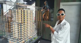 Galerie foto - poza 2