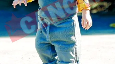 I-a furat papagalul tatalui