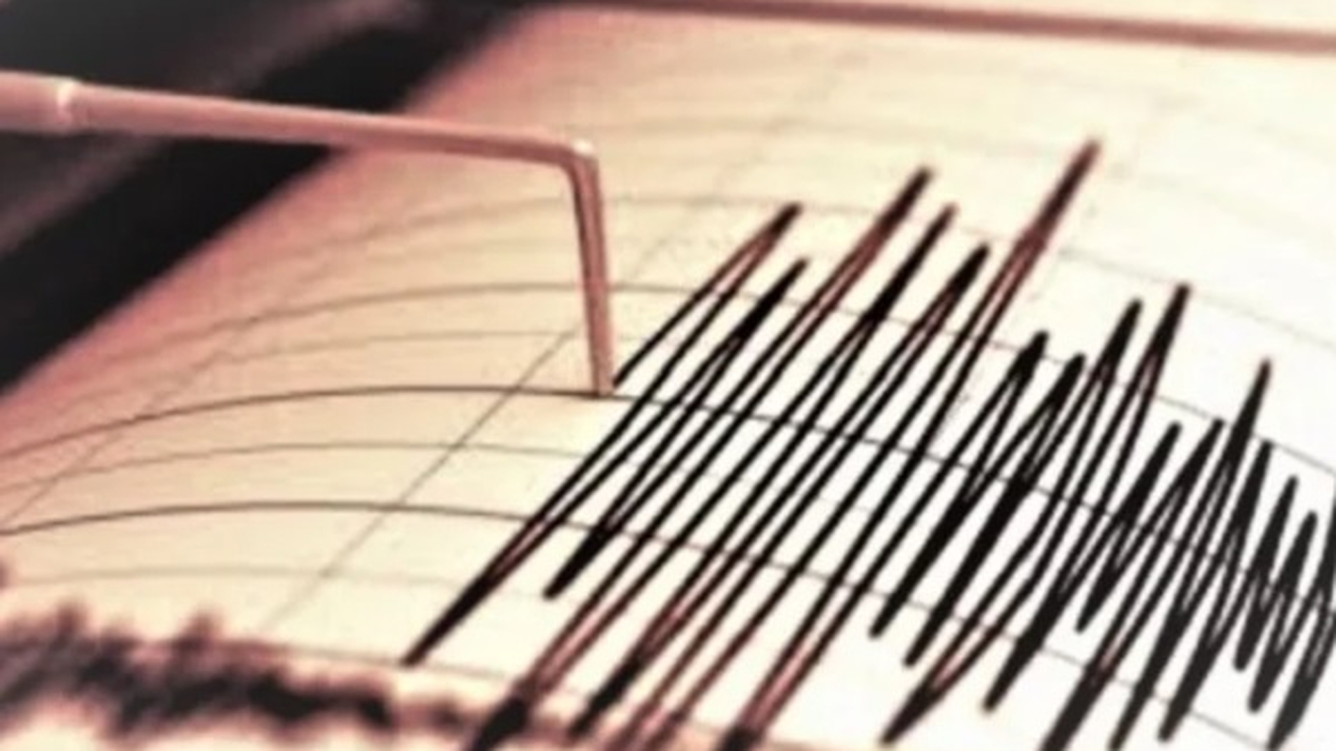 Cutremur în această seară în România. Ce magnitudine a avut seismul și în câte orașe s-a resimțit