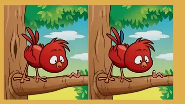 Test de logică | Găsiți cele 5 diferențe dintre aceste două imagini. Geniile o fac în maximum 21 de secunde