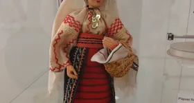 Galerie foto - poza 3