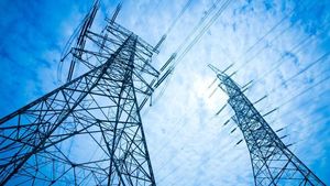 Gata cu birocrația în România! O companie de energie electrică îți poate face contract doar cu buletinul
