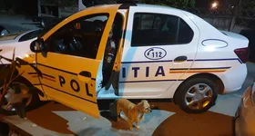 Galerie foto - poza 1