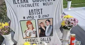 Galerie foto - poza 4