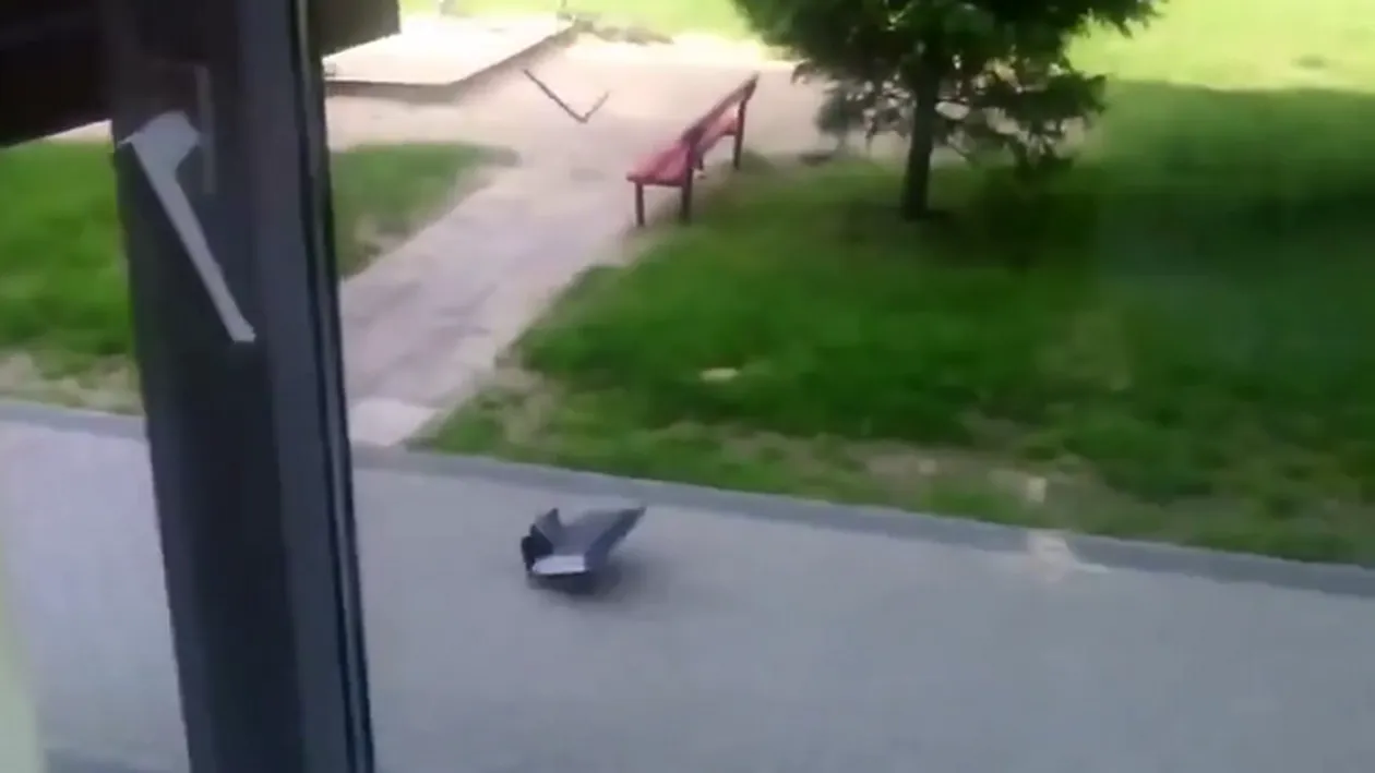 Viata unui gamer nu este deloc usoara! Un pusti aproape ca a facut comotie cerebrala in fata monitorului!