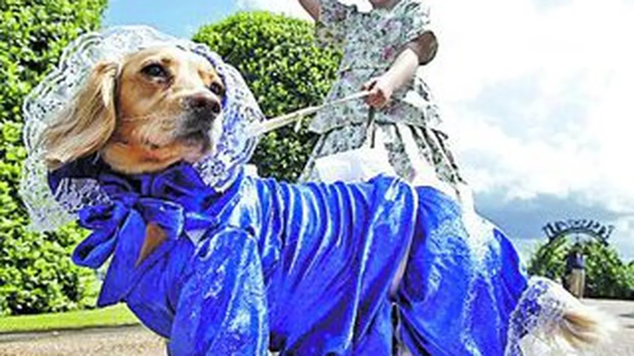 Catei imbracati in straie de epoca