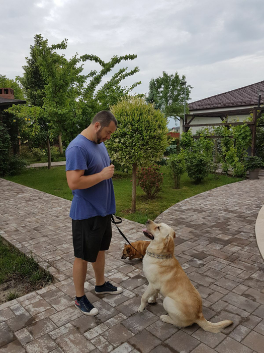 Tânărul și-a urmărit visul din copilărie, de a dresa animale și a le face bine