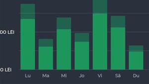 Câți bani a câștigat Robert din București, ca șofer BOLT, într-o săptămână întreagă. A lucrat 50 de ore, în total