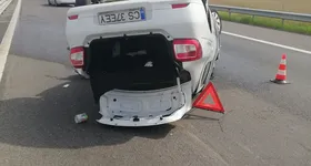 Galerie foto - poza 4