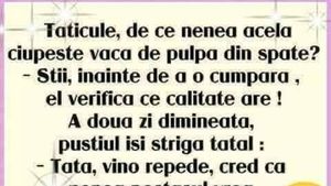 BANCUL ZILEI | De ce se ciupesc vacile de pulpa din spate?