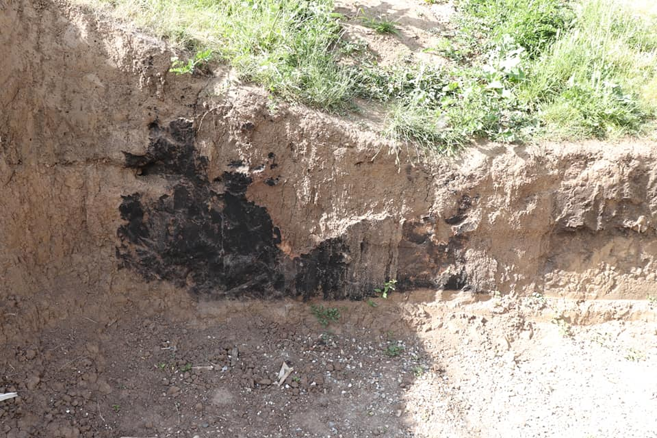 Oseminte, descoperite în timpul renovării unei școli din Bacău! Constructorii au ignorat descoperirea și nu au sistat lucrarea