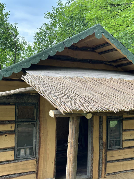 Cum arată casa în care locuiește Mihaela Bilic, din inima pădurii: “Nu am curent electric, nici apă”
