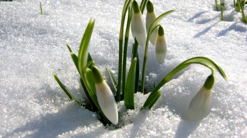 Prognoza meteo pentru 1 martie. ANM, anunț neașteptat pentru săptămâna viitoare