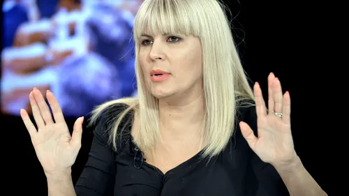 FBI a intrat în celulă peste Elena Udrea! Ce au găsit agenții la percheziție