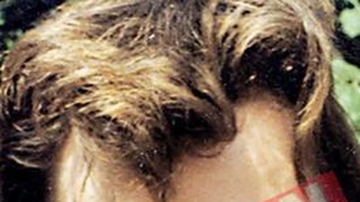 Barbatul care se transforma in femeie