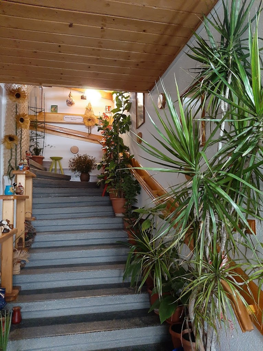 Doina Caragiu are foarte multe plante, de care se bucură și turiștii care trec pe la pensiunea ei foto: pensiunea mon ami