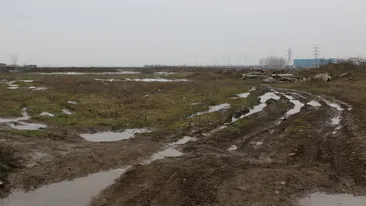 Se intampla in fotbalul romanesc! Un arbitru a plecat de la stadion cu un sobolan in geanta! Ce urmeaza e si mai socant!