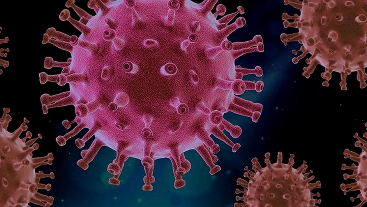 Bilanț coronavirus România, 27 august 2021. 946 de cazuri s-au înregistrat în ultimele 24 de ore