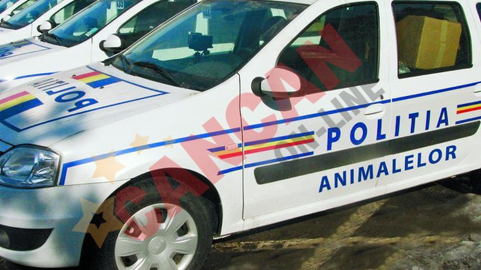 Opriti masacrul!