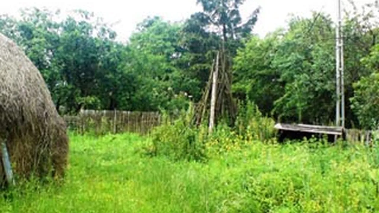 S-au gasit oseminte umane in gospodaria unde locuise un barbat dat disparut in urma cu 13 ani