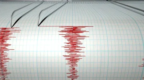 Un nou cutremur a zguduit România. Cât de mare a fost magnitudinea