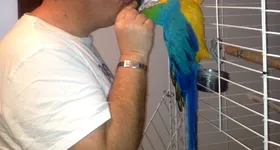 Galerie foto - poza 4