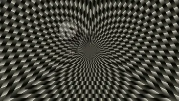 Iluzie optică | Ce animal se ascunde în această imagine? Geniile răspund corect în 19 secunde