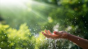 Frigul pune stăpânire pe România. Vor fi temperaturi chiar și de -10 grade Celsius. Cum va fi vremea în următoarele patru săptămâni