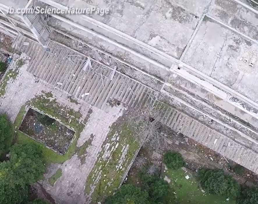 Cum ar arăta Terra dacă toți oamenii ar dispărea. Imagini virale în plină pandemie COVID-19