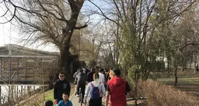 Galerie foto - poza 2