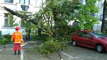 Peste 100 de copaci căzuți, zeci de acoperișuri doborâte de vijelie în 12 județe din România