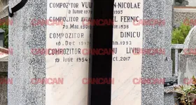 Galerie foto - poza 4