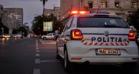 Galerie foto - poza 2