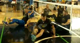 Galerie foto - poza 3