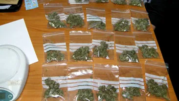 Captura impresionanta! 10 kilograme de rezina de canabis, descoperite in Vama Bors