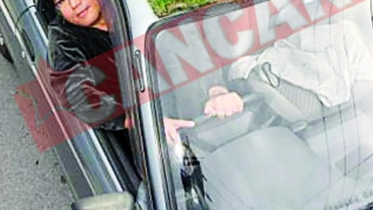 Si-a plantat gazon pe acoperisul masinii