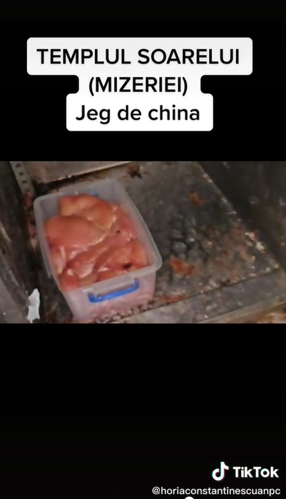 Șeful ANPC a sesizat o serie de nereguli în cadrul restaurantului „Templul Soarelui” din București. Sursă: captură video