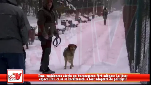 Emotionant! Ema, maidaneza careia un bucurestean fara adapost i-a lasat cojocul lui, ca sa se incalzeasca, a fost adoptata de politisti!