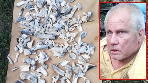 Rezultatele anchetei IML. Ale cui sunt oasele găsite în casa lui Gheorghe Dincă din Caracal