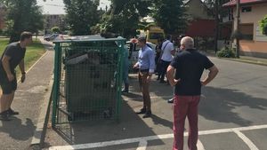 Descoperire macabră într-un tomberon din Baia Mare. Ce a găsit o femeie care ducea gunoiul