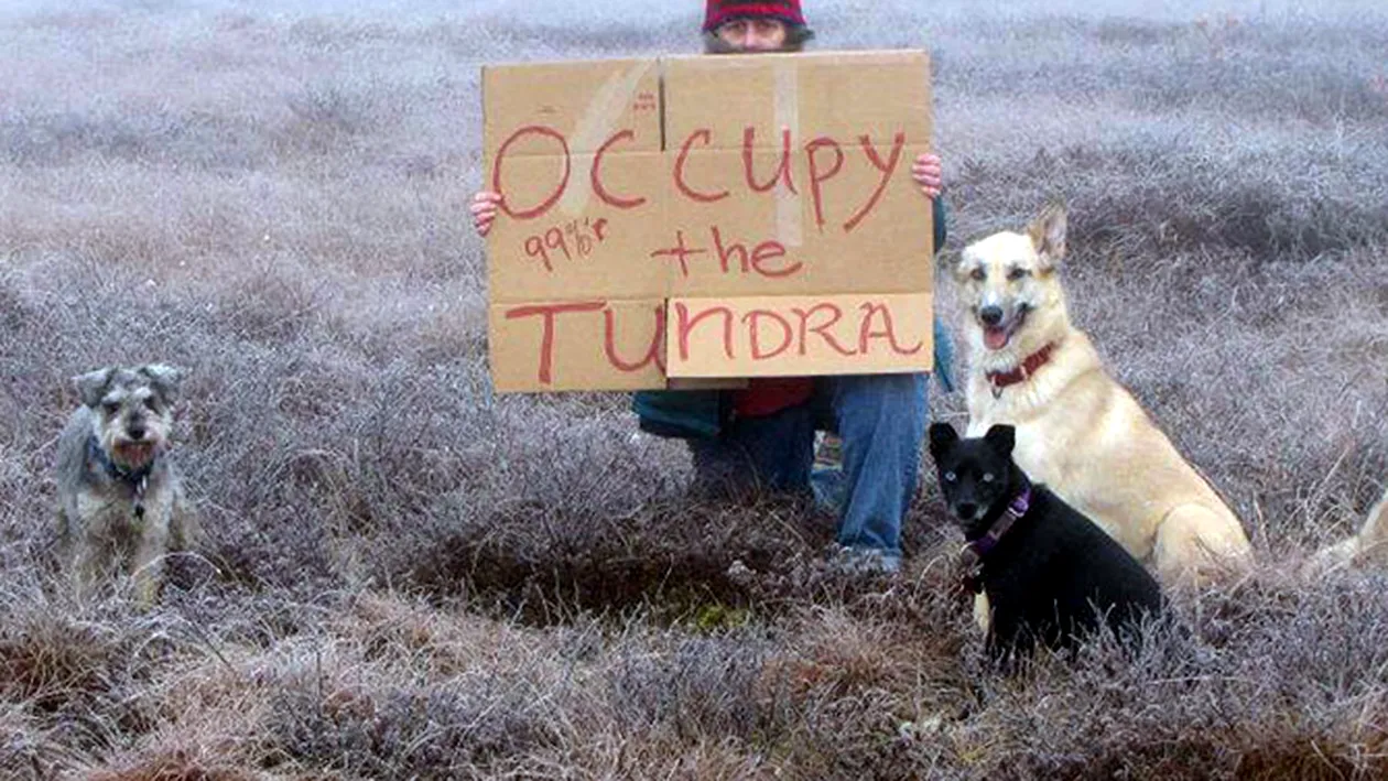 Miscarea Ocupati Wall Street a ajuns si in Alaska. O femeie a protestat singura